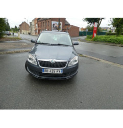 Porte arriere gauche SKODA FABIA 2