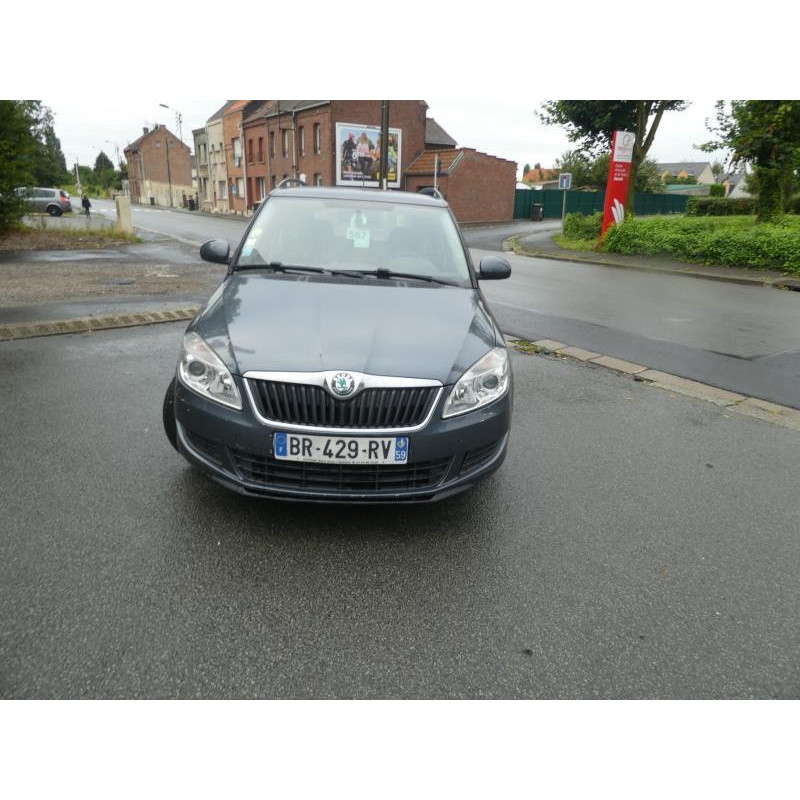 Porte arriere gauche SKODA FABIA 2 Photo n°13