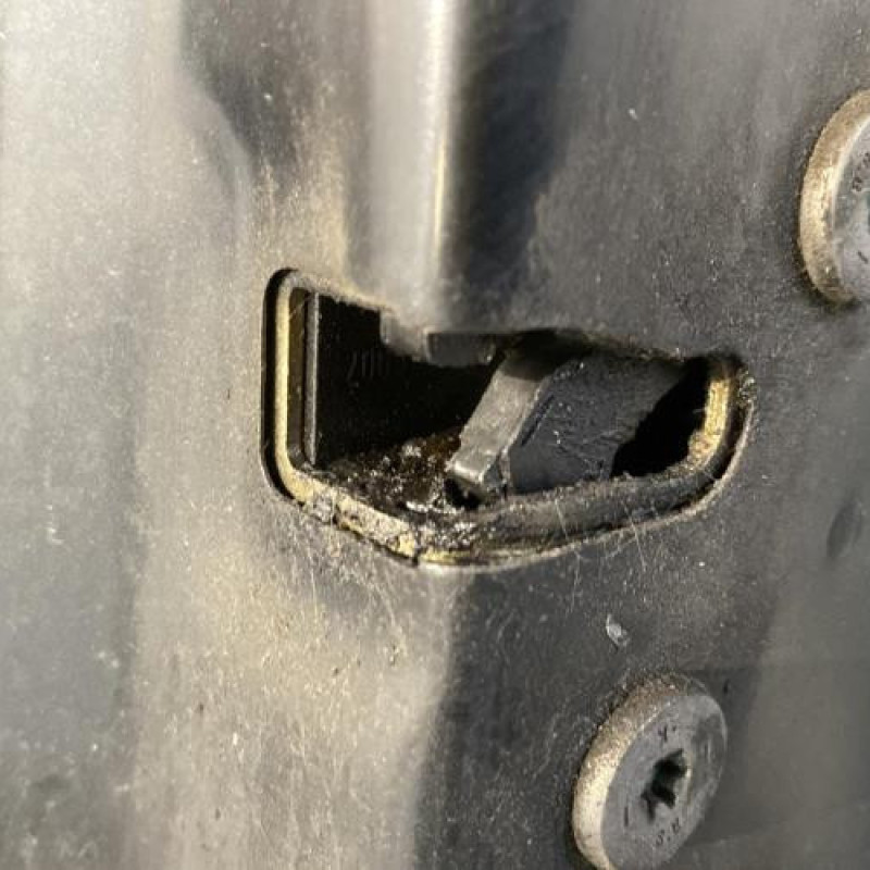 Porte avant droit PEUGEOT 1007 Photo n°5