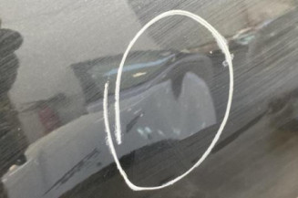 Porte avant droit PEUGEOT 1007