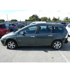 Porte arriere gauche PEUGEOT 307