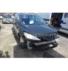 Porte arriere gauche PEUGEOT 308 1
