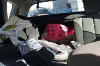 Jante RENAULT SCENIC 2