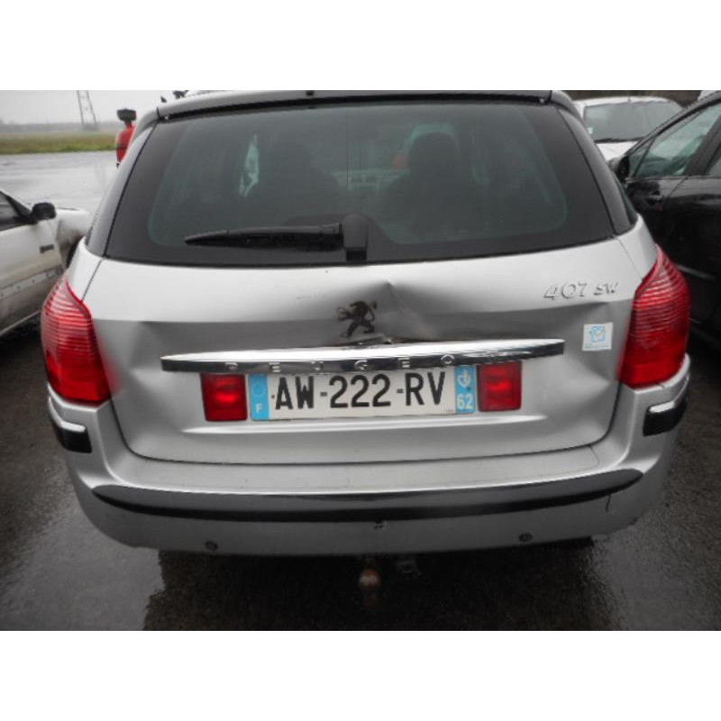 Porte arriere gauche PEUGEOT 407 Photo n°3
