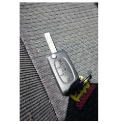 Porte arriere gauche CITROEN C4 PICASSO 1