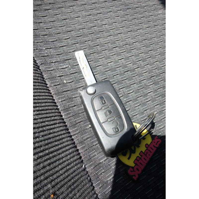 Porte arriere gauche CITROEN C4 PICASSO 1 Photo n°2