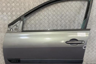 Porte avant gauche RENAULT MEGANE 2 Photo n°1