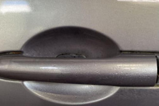 Porte avant gauche RENAULT MEGANE 2