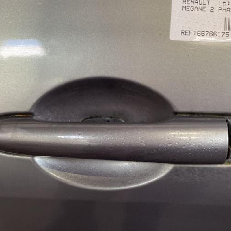 Porte avant gauche RENAULT MEGANE 2 Photo n°2