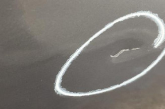 Porte avant gauche RENAULT MEGANE 2
