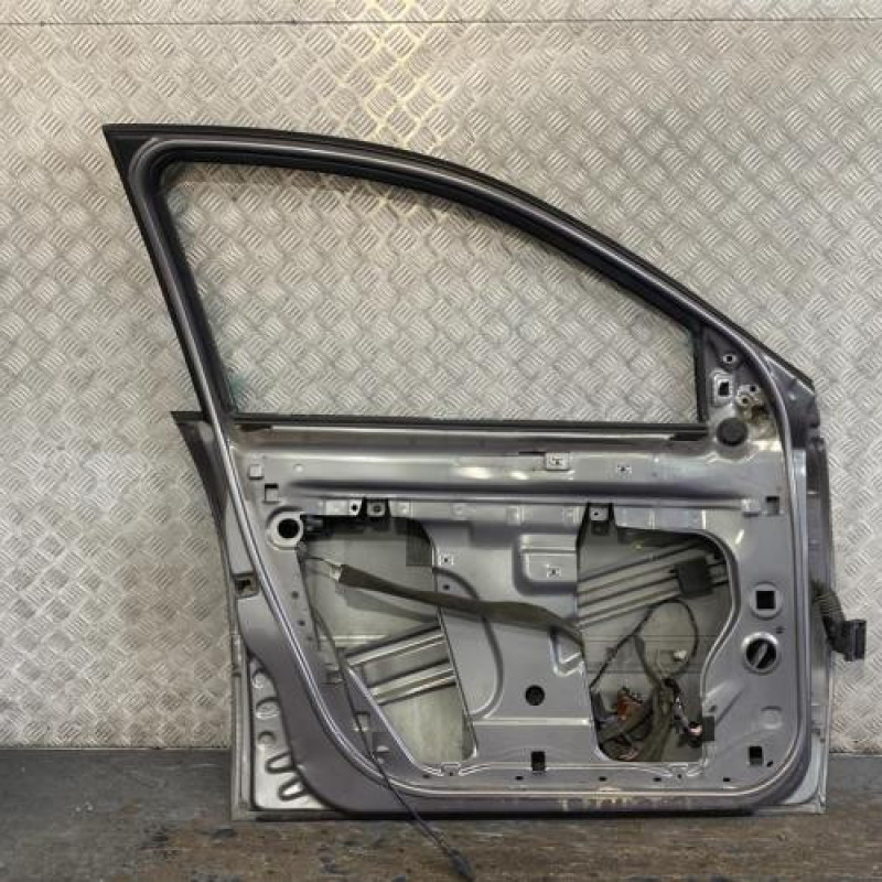 Porte avant gauche RENAULT MEGANE 2 Photo n°5