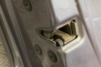 Porte avant gauche RENAULT MEGANE 2