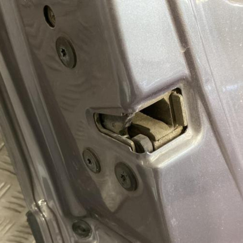 Porte avant gauche RENAULT MEGANE 2 Photo n°6