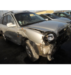 Porte arriere gauche HYUNDAI SANTA FE 1