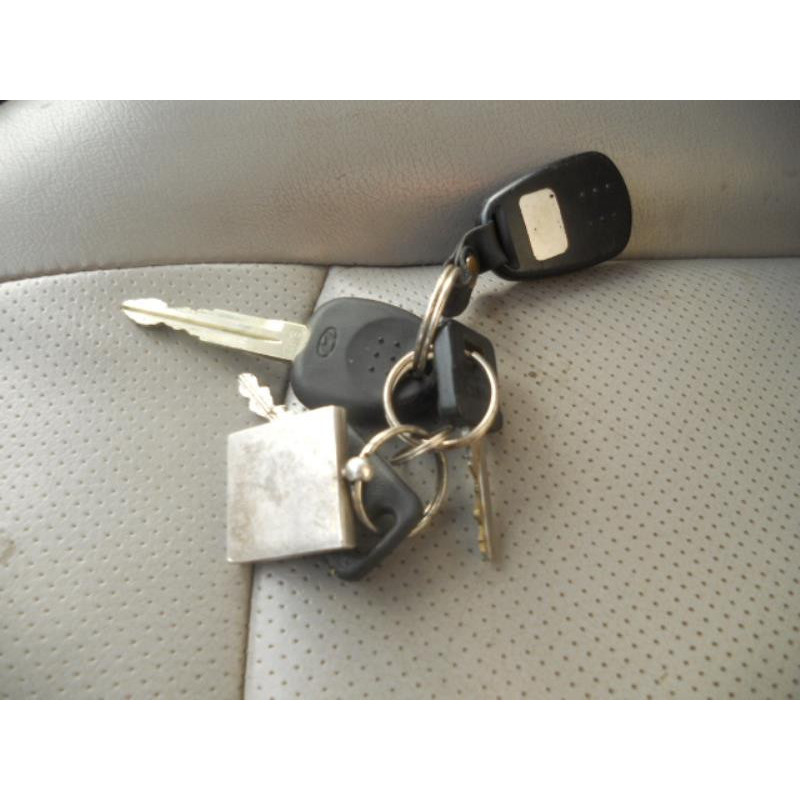 Porte arriere gauche HYUNDAI SANTA FE 1 Photo n°12