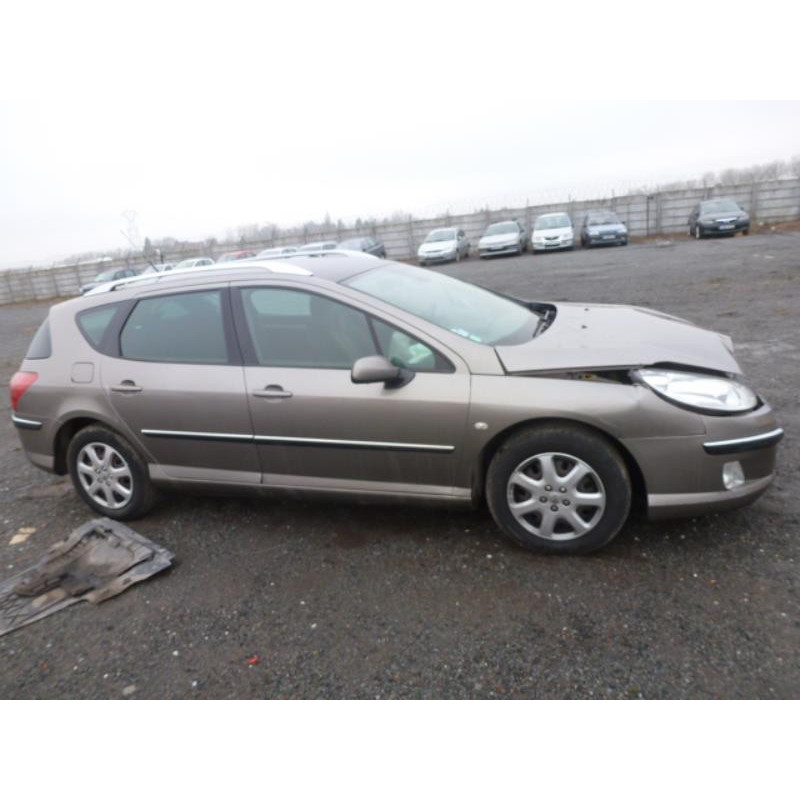 Porte arriere gauche PEUGEOT 407 Photo n°4