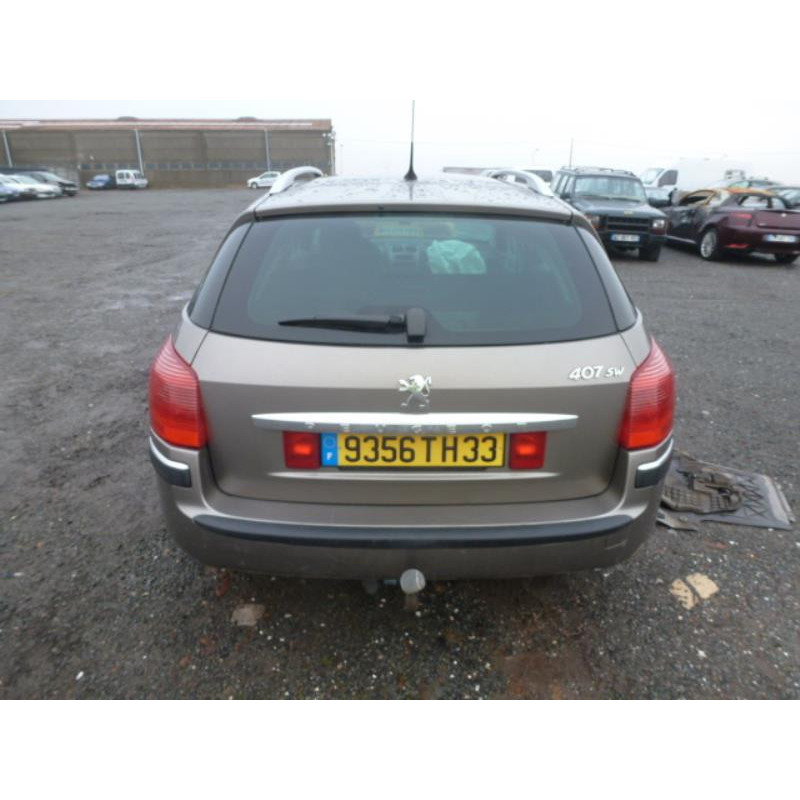 Porte arriere gauche PEUGEOT 407 Photo n°5