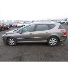 Porte arriere gauche PEUGEOT 407