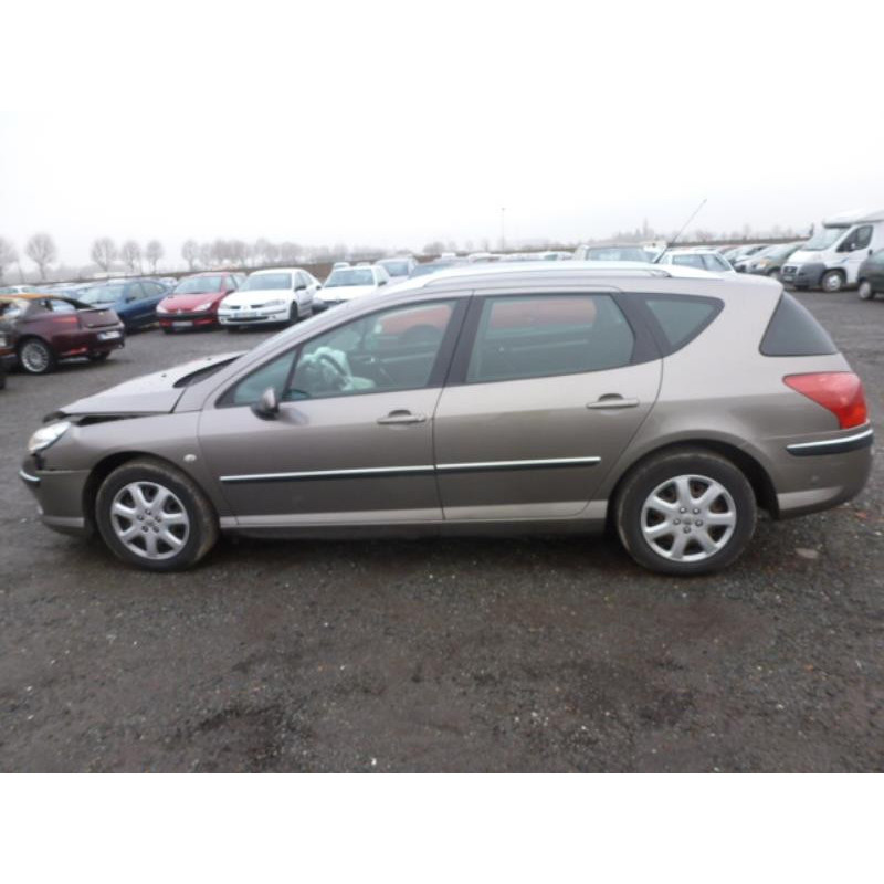 Porte arriere gauche PEUGEOT 407 Photo n°6