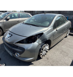 Baguette de porte avant droite PEUGEOT 207