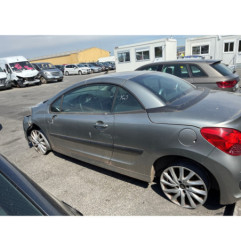 Baguette de porte avant droite PEUGEOT 207