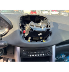 Baguette de porte avant droite PEUGEOT 207