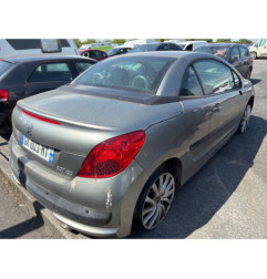 Baguette de porte avant gauche PEUGEOT 207