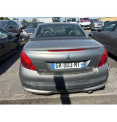 Baguette de porte avant gauche PEUGEOT 207