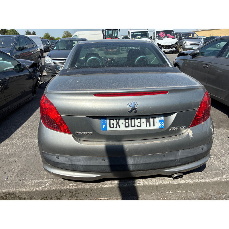 Baguette de porte avant gauche PEUGEOT 207 Photo n°8