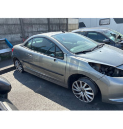 Baguette de porte avant gauche PEUGEOT 207