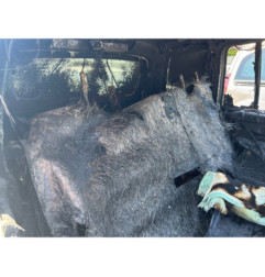 Anti brouillard droit (feux) VOLKSWAGEN TOURAN 2