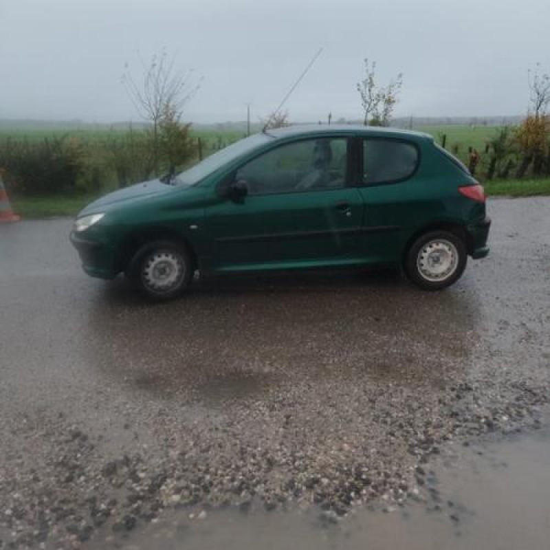Neiman PEUGEOT 206 Photo n°8