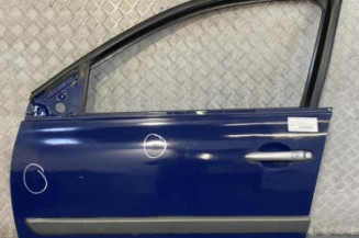 Porte avant gauche RENAULT MEGANE 2 Photo n°1