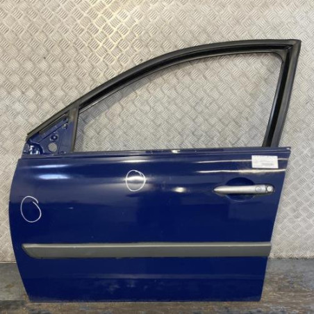 Porte avant gauche RENAULT MEGANE 2 Photo n°1