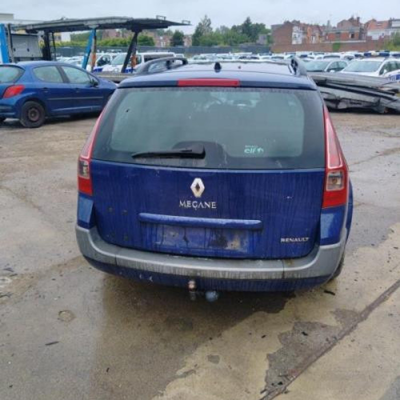 Porte avant gauche RENAULT MEGANE 2 Photo n°10