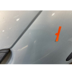 Porte arriere droit RENAULT SCENIC 1