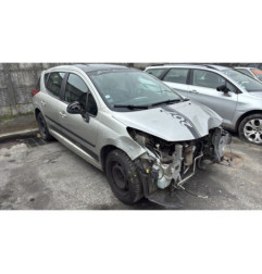 Porte arriere droit PEUGEOT 207
