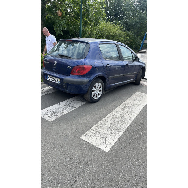 Porte arriere droit PEUGEOT 307 Photo n°6