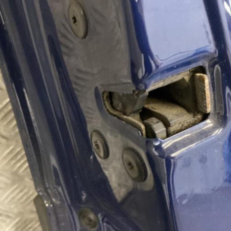 Porte avant gauche RENAULT MEGANE 2 Photo n°4