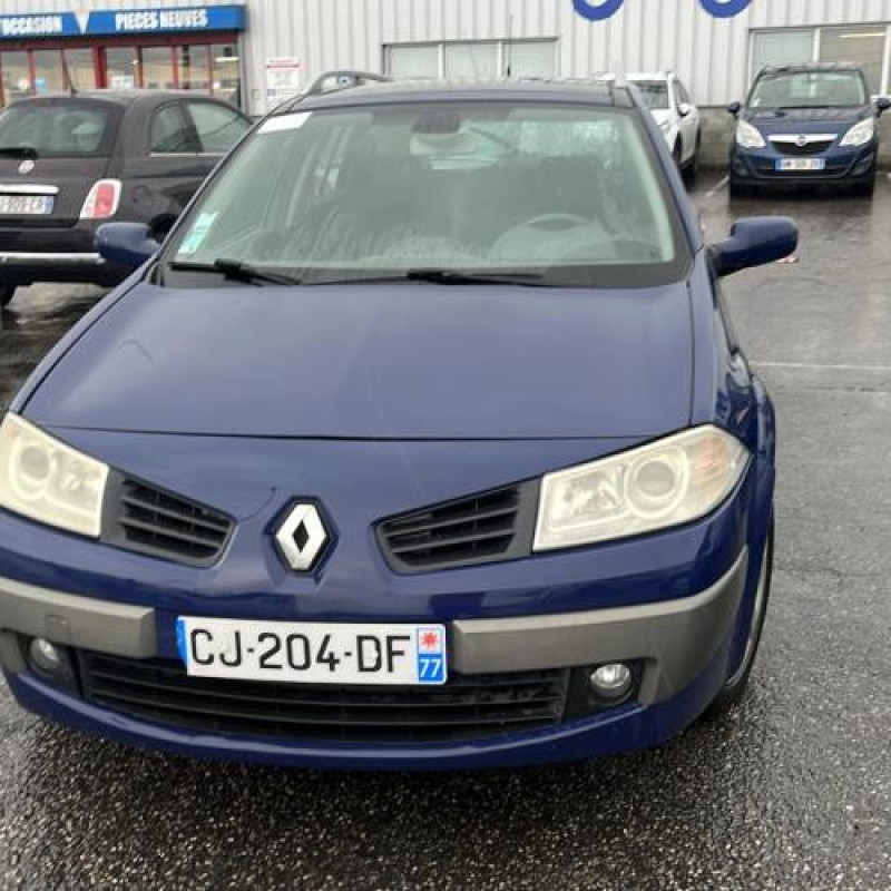 Porte avant gauche RENAULT MEGANE 2 Photo n°6