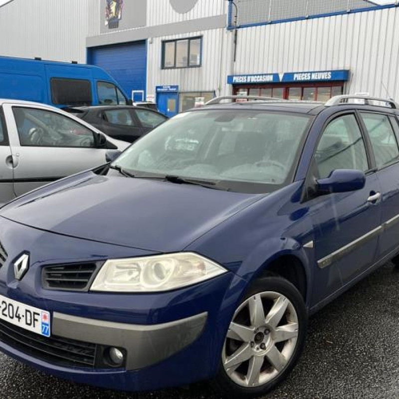 Porte avant gauche RENAULT MEGANE 2 Photo n°7