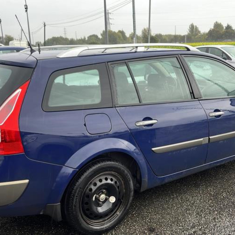 Porte avant gauche RENAULT MEGANE 2 Photo n°8