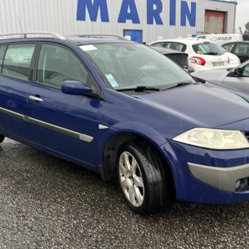 Porte avant gauche RENAULT MEGANE 2 Photo n°9