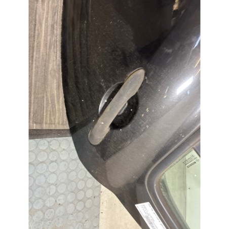 Porte arriere gauche RENAULT CLIO 3