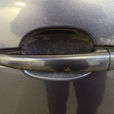 Porte arriere gauche CITROEN C4 GRAND PICASSO 1