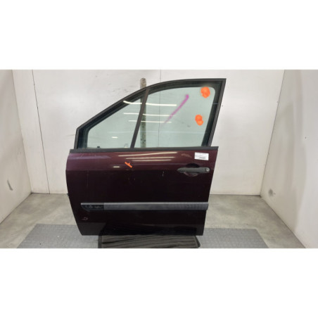 Porte avant gauche RENAULT SCENIC 2 Photo n°1