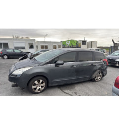 Porte arriere gauche PEUGEOT 5008 1