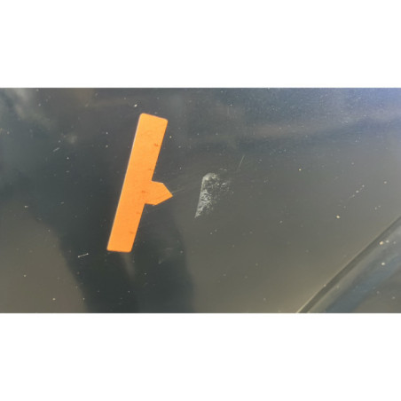 Porte arriere gauche NISSAN PATHFINDER 2