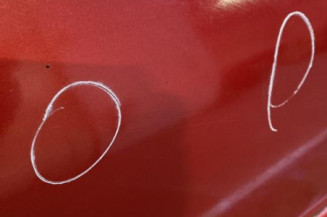 Porte avant gauche PEUGEOT 206