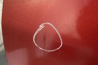 Porte avant gauche PEUGEOT 206